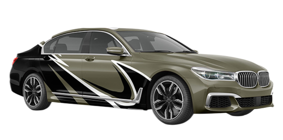 Wilderness Hoker Water Resistant Car Wrap Film Roll 160g Double PE Coated Vinyl Digital Printed